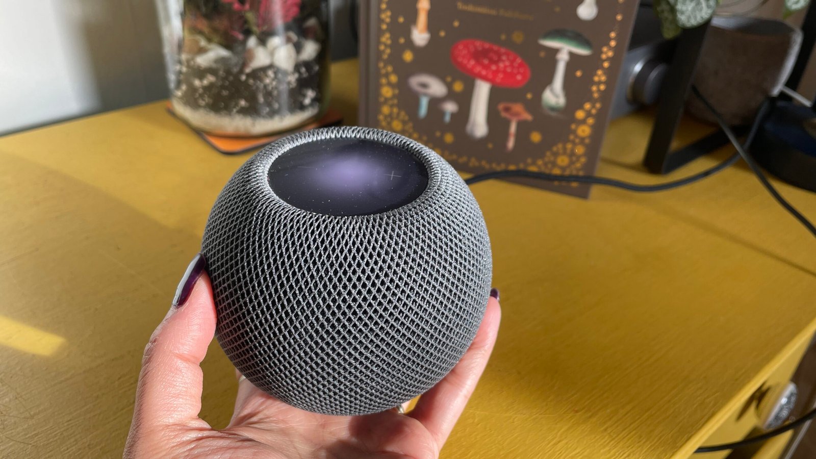 Best affordable smart speakers